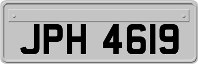JPH4619
