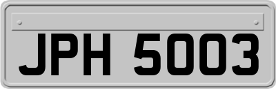 JPH5003