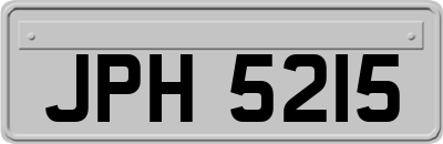 JPH5215