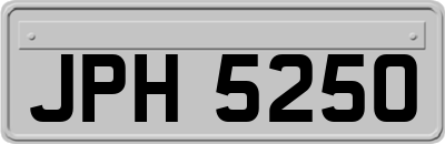 JPH5250