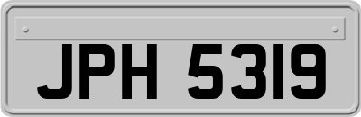 JPH5319