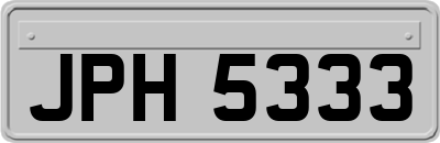 JPH5333