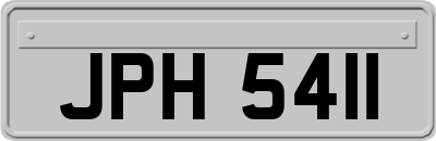 JPH5411