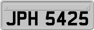 JPH5425