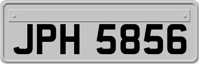 JPH5856