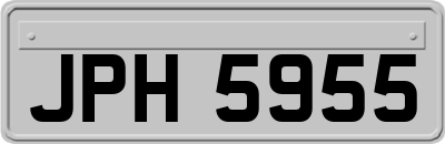 JPH5955
