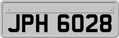 JPH6028