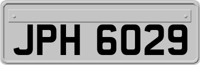 JPH6029