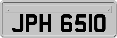 JPH6510
