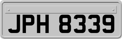 JPH8339
