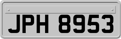 JPH8953