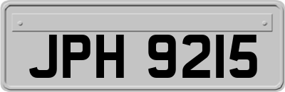 JPH9215
