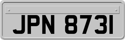 JPN8731