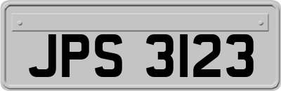 JPS3123