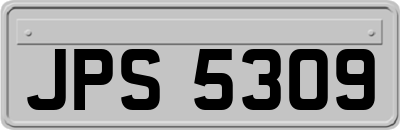 JPS5309
