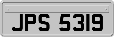 JPS5319