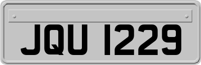 JQU1229