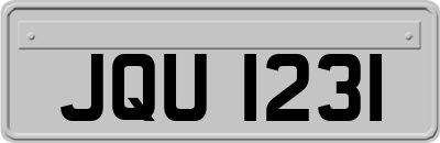 JQU1231
