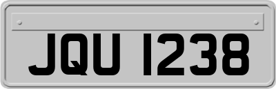 JQU1238