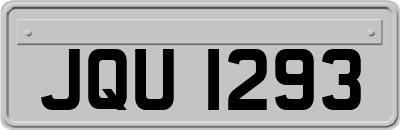 JQU1293