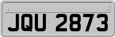 JQU2873