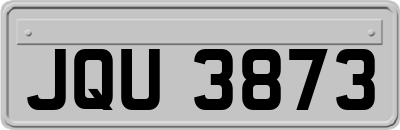 JQU3873