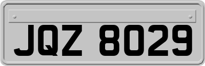 JQZ8029