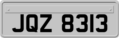 JQZ8313
