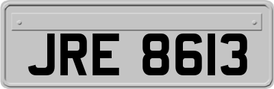 JRE8613