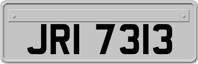 JRI7313