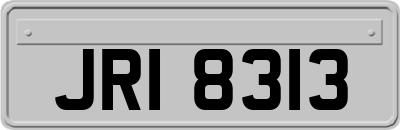 JRI8313