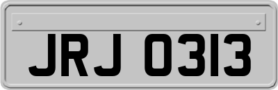 JRJ0313
