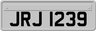 JRJ1239