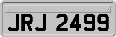JRJ2499