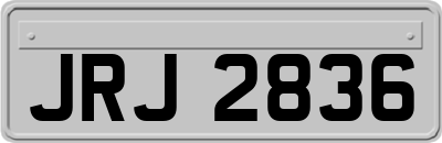 JRJ2836
