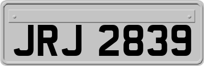 JRJ2839