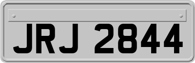 JRJ2844