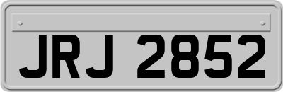 JRJ2852