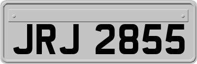 JRJ2855