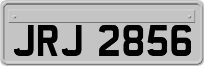 JRJ2856