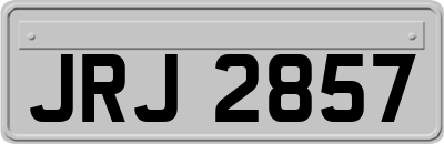 JRJ2857