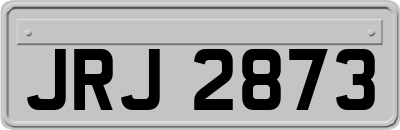 JRJ2873