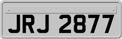 JRJ2877
