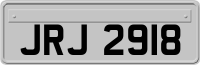 JRJ2918