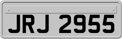 JRJ2955