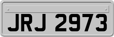 JRJ2973