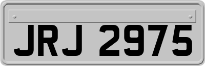 JRJ2975