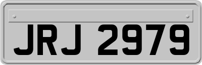 JRJ2979