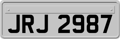 JRJ2987