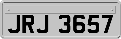 JRJ3657